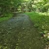 munte traseu