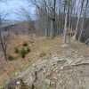munte vrancea 1