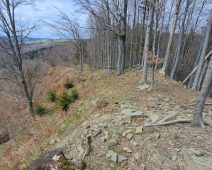 munte vrancea 1