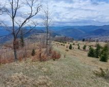 munte vrancea
