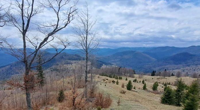 Meteo: vremea în prima parte a lunii octombrie