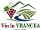 Tradiție. Gust. Identitate: OMD „Vin în Vrancea” a pus în valoare autenticitatea județului la Festivalul „Comoara Vrancei” de la Năruja PAAAAA1BMVEWurq51dlI4AAAAAXRSTlMmkutdmwAAAA5JREFUKM9jGAWjYJABAAKUAAHoEAeuAAAAAElFTkSuQmCC