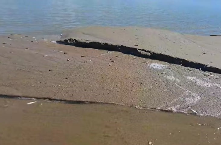VIDEO Dezastru ecologic după închiderea bruscă a ecluzelor la hidrocentrala Movileni: sute de pești au rămas pe uscat 4 pesti uscat movileni 1