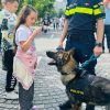 politie 1 iunie (3)