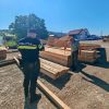 politie lemne
