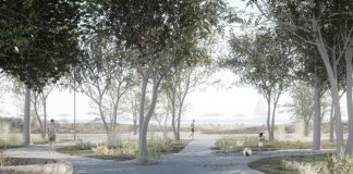 FOTO Vom avea și umbră pe litoral / Proiect pentru crearea de perdele forestiere pe plajele din zona Mamaia-Năvodari