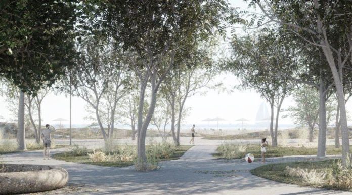 FOTO Vom avea și umbră pe litoral / Proiect pentru crearea de perdele forestiere pe plajele din zona Mamaia-Năvodari