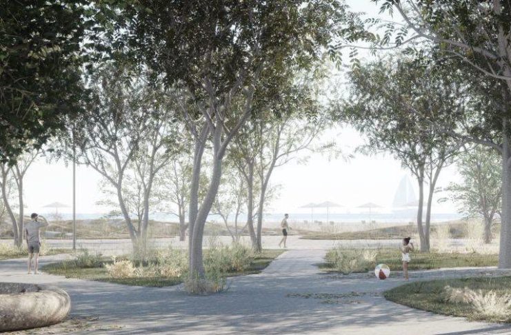FOTO Vom avea și umbră pe litoral / Proiect pentru crearea de perdele forestiere pe plajele din zona Mamaia-Năvodari