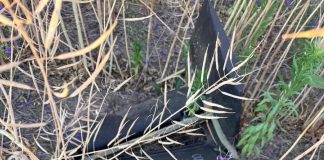Surse: Drona căutată de azi dimineață de armată ar fi fost găsită la Ciușlea, de un localnic