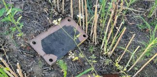 Alertă în Brăila: un localnic a anunțat că o dronă ar fi căzut în Insula Mare a Brăilei