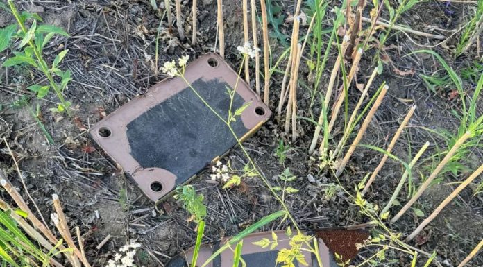 Alertă în Brăila: un localnic a anunțat că o dronă ar fi căzut în Insula Mare a Brăilei