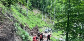 FOTO Trasee prin Munții Vrancei suspendate de Salvamont, din cauza copacilor doborâți de vânt