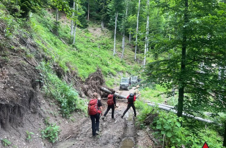 FOTO Trasee prin Munții Vrancei suspendate de Salvamont, din cauza copacilor doborâți de vânt