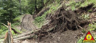 FOTO Trasee prin Munții Vrancei suspendate de Salvamont, din cauza copacilor doborâți de vânt 3 salvamont 2 1