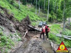 FOTO Trasee prin Munții Vrancei suspendate de Salvamont, din cauza copacilor doborâți de vânt 2 salvamont 3