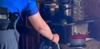 VIDEO Jandarmii montani au prins un șarpe într-o locuință din Lepșa