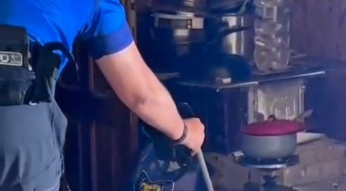 VIDEO Jandarmii montani au prins un șarpe într-o locuință din Lepșa