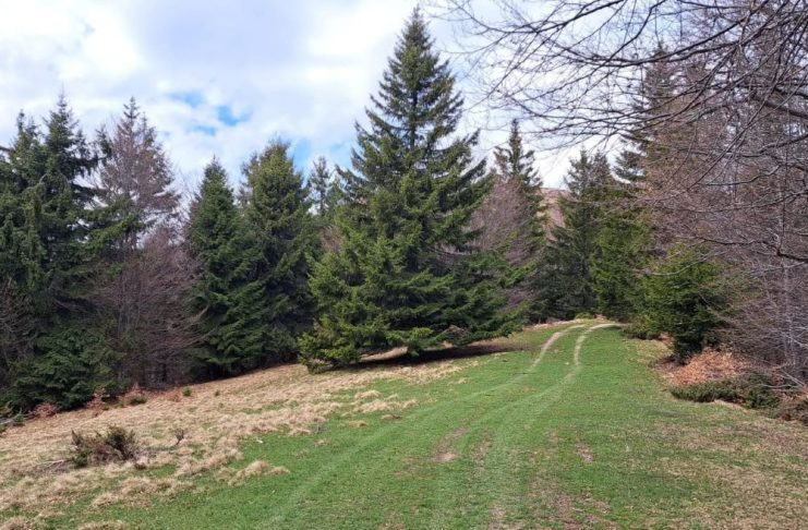FOTO Se vor amenaja două trasee pentru ciclism montan și downhill în Parcul Natural Putna Vrancea