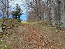 traseu munte