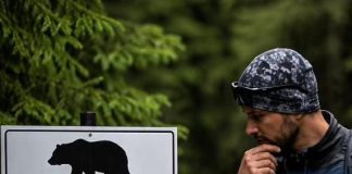 Ce faceți dacă vă întâlniți cu ursul prin pădure. Sfaturi de la jandarmi