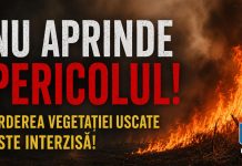 „Nu aprinde pericolul! Arderea vegetației uscate este interzisă!” / Campanie de prevenire derulată de pompieri IMG 20260715 WA0002