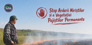Avertisment pentru fermieri: Este interzisă arderea miriştilor şi a vegetaţiei pajiştilor permanente