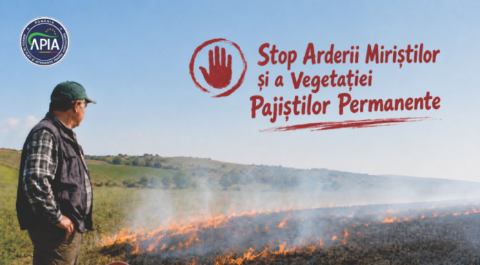 Avertisment pentru fermieri: Este interzisă arderea miriştilor şi a vegetaţiei pajiştilor permanente