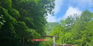 Punctul de pornire și sosire pentru ”Aventura în Vrancea Sălbatică”, din luna august