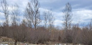 FOTO Garda de Mediu Vrancea a dat amenzi de 1,8 milioane de lei de la începutul anului