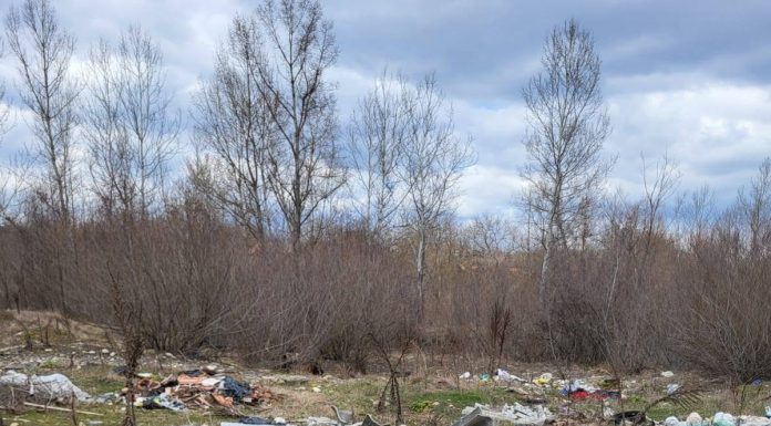 FOTO Garda de Mediu Vrancea a dat amenzi de 1,8 milioane de lei de la începutul anului