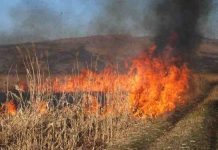 Avertisment: Nu dați foc miriștilor! / Arderea miriștilor nu curăță solul, ci îl ucide! incendiu