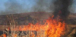 Avertisment: Nu dați foc miriștilor! / Arderea miriștilor nu curăță solul, ci îl ucide!