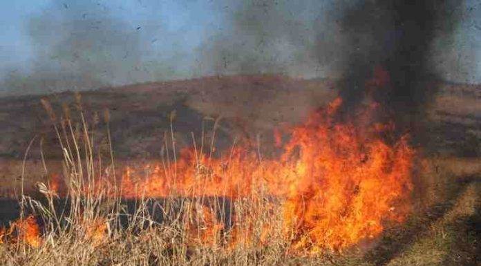 Avertisment: Nu dați foc miriștilor! / Arderea miriștilor nu curăță solul, ci îl ucide!