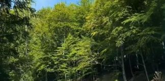 Miercuri are loc recepția sectorului Soveja-Lepșa (Coașa)