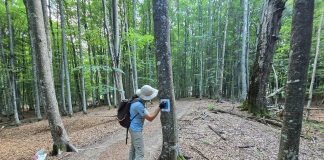 FOTO Voluntarii ACDB au început marcarea traseului de ciclism montan din Parcul Natural Putna