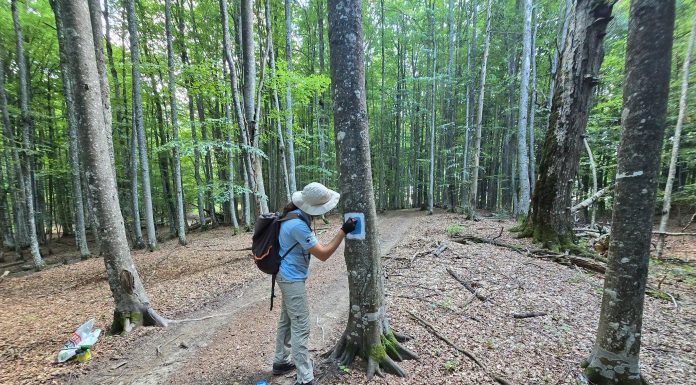 FOTO Voluntarii ACDB au început marcarea traseului de ciclism montan din Parcul Natural Putna