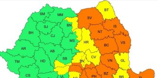 Alerte de vijelii și averse, în Vrancea