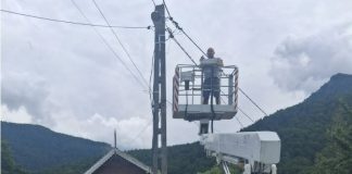 Proiect pentru protejarea insectelor din Parcul Natural Putna Vrancea: Mai puțină poluare luminoasă, mai multă natură