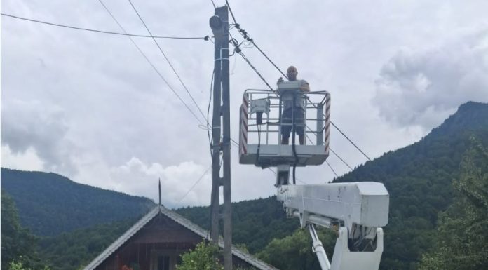Proiect pentru protejarea insectelor din Parcul Natural Putna Vrancea: Mai puțină poluare luminoasă, mai multă natură