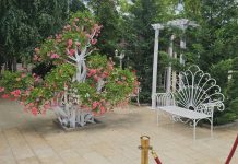 VIDEO Serate gastronomice și muzicale, în weekend, la Oscar restaurant oscar
