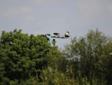 FOTO Culoare, bucurie și pasiune pentru zbor la Festivalul Zmeielor de la Mărășești 1 zmeie 1