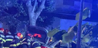 Accidentul de azi noapte, din Focșani: o șoferiță a pierdut controlul și s-a izbit de un copac / A fost nevoie de descarcerare