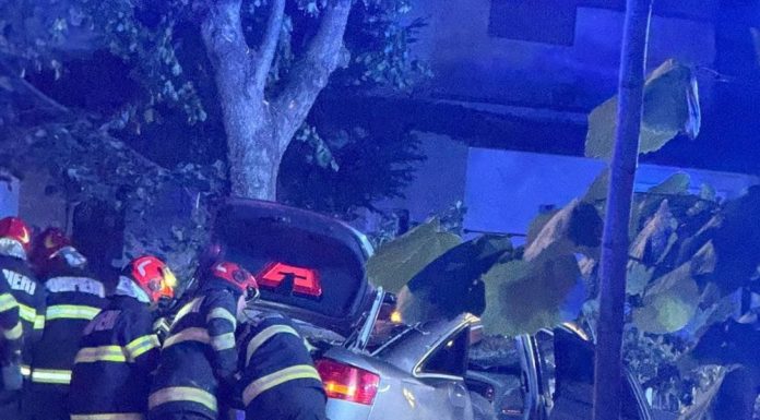 Accidentul de azi noapte, din Focșani: o șoferiță a pierdut controlul și s-a izbit de un copac / A fost nevoie de descarcerare