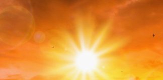Atenție: măsuri obligatorii pentru protejarea animalelor în perioadele cu temperaturi ridicate!