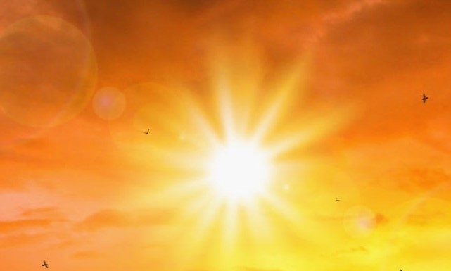 Atenție: măsuri obligatorii pentru protejarea animalelor în perioadele cu temperaturi ridicate!
