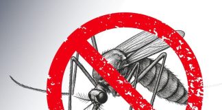 Dezinsecție în Adjud, la începutul săptămânii viitoare