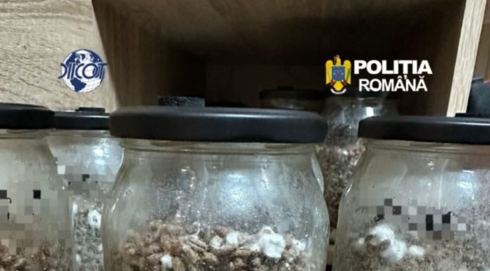 FOTO-VIDEO Șamani și ”ritualuri spirituale” în România, cu droguri de mare risc / Oamenii legii au stopat o ceremonie de ”reconectare cu sinele”