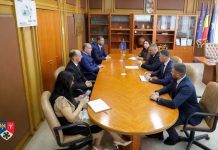 halici oficial cernauti