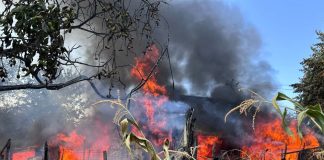 FOTO Pagube însemnate în urma incendiului de la gospodăria din Terchești / O tânără a suferit atac de panică