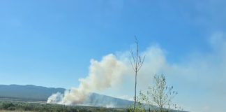 Mobilizare a pompierilor militari: foc extins pe 30 ha de vegetație uscată, la Bolotești